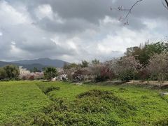 -御霞苑泥烩鸡休闲农庄