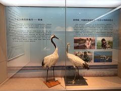 -齐齐哈尔市博物馆