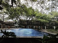 -喜洲吧·江畔老船厂·庭院餐厅(喜临院店)