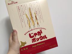 -关西国际机场直营免税店