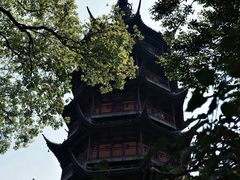 -红梅公园