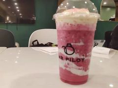 -飞行喵MR PILOT|猫舍·猫咖(静安大融城店)