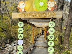 -大岭沟猕猴桃谷风景区