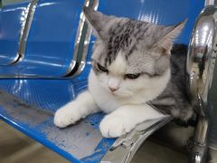 -太原东方动物医院(小店分院)