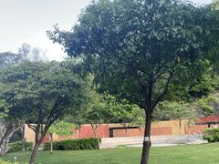 -香港大学