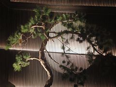 -大拙里·精致融合菜(沙湖桃源国际店)