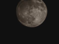 -深圳皇庭V酒店