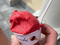 意大利手工冰淇淋-VENCHI 闻绮(上海佛罗伦萨小镇店)