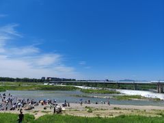 -绿堤公园