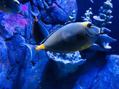 -成都浩海立方海洋公园