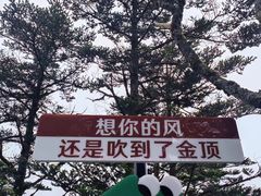 -峨眉山风景名胜区