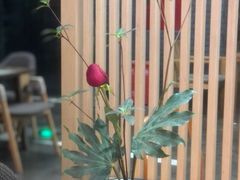 -扫雪煮茶(西村店)