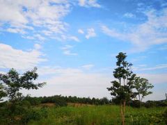 -白鹭湾湿地公园