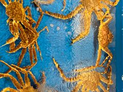 -舜和枣庄大酒店