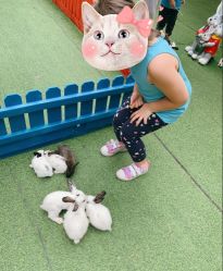 -萌宠亲子动物乐园(槐房万达店)