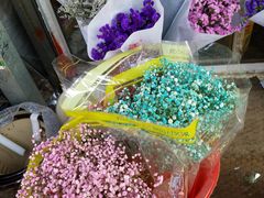 -沪花拾者(好再来花卉鲜花店)