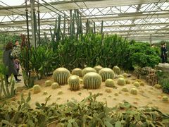 -兰陵国家农业公园