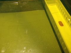 桌子都是油-辛香汇(大华第一坊店)