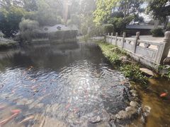 -国恩寺