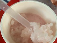-津椰本·海南正宗椰奶清补凉(店一店)