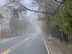 -兰山公园