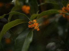 -黄公望隐居地