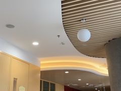 -中国宋庆龄青少年科技文化交流中心