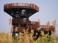 -芒洲湿地公园
