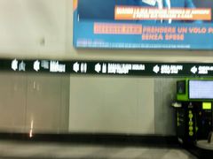 -米兰马尔彭萨国际机场