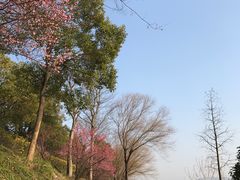 -团城山公园
