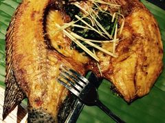 iphone_upload_pic-云海肴·汽锅鸡·云南菜(天津国金汇店)