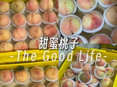 -老袁家蜜桃农场·阳山水蜜桃