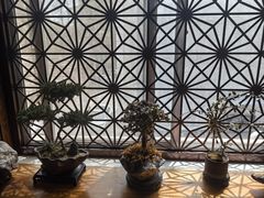 -黑河坝泡姜鸡贡椒鱼(贾旗路店)