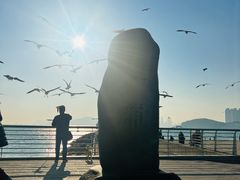-海云台海滩