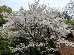 -中国茶叶博物馆(双峰馆区)