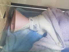 -美美宠物诊疗中心·异宠·骨科(滨江东信分院)