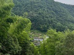 -石台牯牛降景区