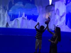 -多彩贵州城极地海洋世界