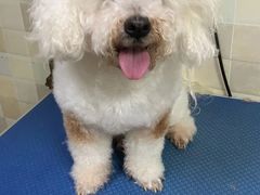 -宠颐生宠物医院·骨外科·犬猫全科诊疗中心(池州店)