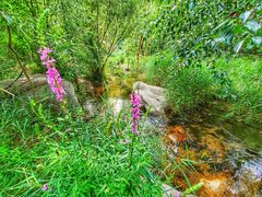 -碓臼峪自然风景区