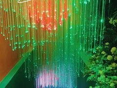 -西安电影制片厂