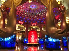 -珠海横琴长隆《卡卡虎奇遇记》