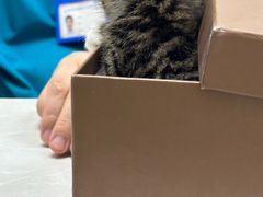 -中农国际动物医院24小时·猫科·骨科·急重症中心