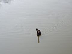 -瑶湖郊野森林公园