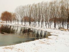 -马家湾湿地公园
