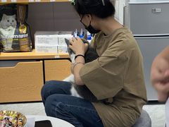 -爱洗澡的猫(天河路店)