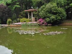 -昆明市金殿名胜区