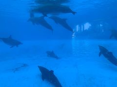 -横琴湾水世界