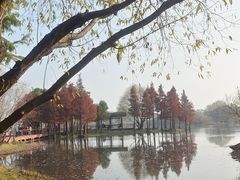 -贡湖湾湿地公园