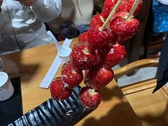 -果松木炭酸菜铜火锅·外婆参鸡汤